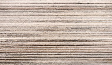 Yığılmış kitap sayfalarının makro görüntüsü, kenardan bakıldığında, doku, tahıl ve eski kağıt katmanlarını gösterir.