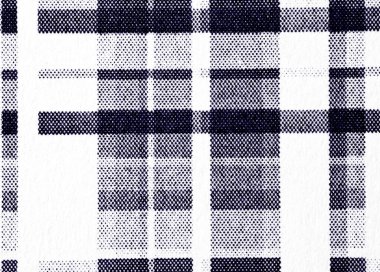 Koyu lacivert yarım tonlu noktalar kalın ekoseli bir ızgara oluşturur. Tıkanık bantlar ve kaba beyaz kağıt üzerinde kavşaklar. Retro yazdırma, tarama dokusu