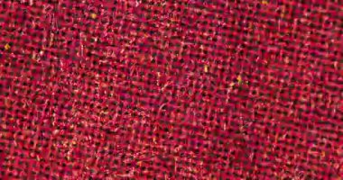 Kırmızı baskılı kağıdın makro yakın plan görüntüsü yarım tonlu nokta deseni, tahıl ve grunge sesi. Tasarım, kaplama ve hareket grafikleri için soyut vintage baskı dokusu arkaplanı.