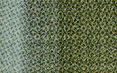 Kağıt üzerinde CMYK yarım tonlu noktaların makro yakın çekimi açık renkli alandan koyu renkli karışık mürekkep kaplamasına tonsal bir gradyanı gösteriyor. Görünür buğday ve zerrelerle geri dönük baskı dokusu.