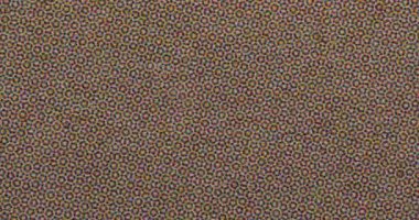 Makro yakın plan baskılı kağıt CMYK yarım ton nokta desenini görünür liflerle, hafif mürekkep yanlış tespiti ve gürültülü tahılla gösteriyor. Soyut retro yazdırma dokusu arkaplanı.