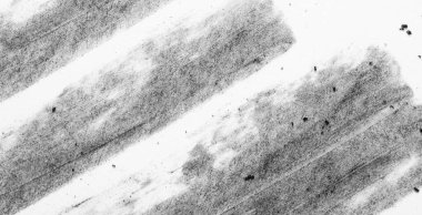 Geniş çapraz kömür vuruşları, yumuşak gölgelendirme ve dağınık benekleri olan tek renkli kağıt makrosu. Parlak bantlı soyut grunge arkaplanı ve tasarım için kopyalama alanı.