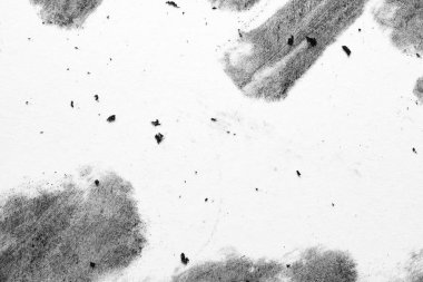 Yumuşak kömür yamaları, dağınık benekler ve soluk lekeler olan yüksek anahtarlı tek renkli beyaz kağıt makromu. Tasarım için cömert kopya alanı ile soyut arkaplan temizle.