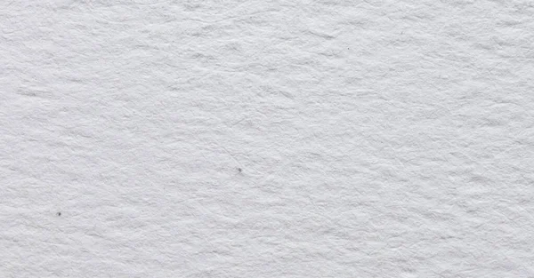 Kabarık lifli deseni ve ince doğal tahılı olan beyaz çizim kağıdının makro yakın çekimi. Sanat, kırtasiye, baskı ve minimalist tasarım kullanımı için temiz bir arkaplan ideali.