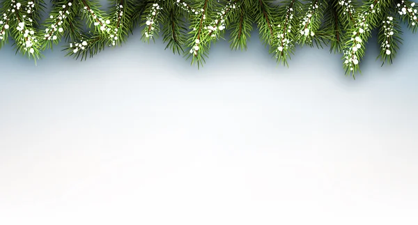 Köknar dallı Noel arkaplanı — Stok Vektör
