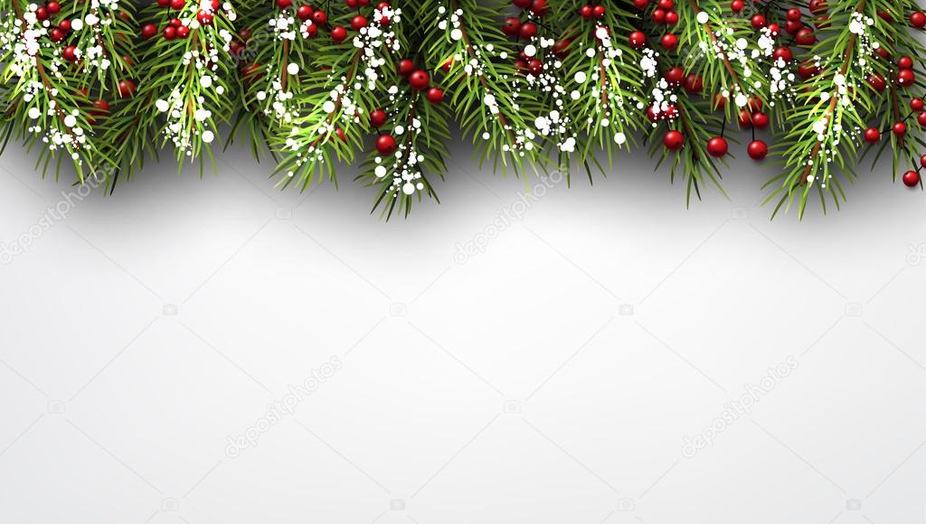 fir branches and berries