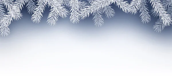 Winter banner met fir takken. — Stockvector