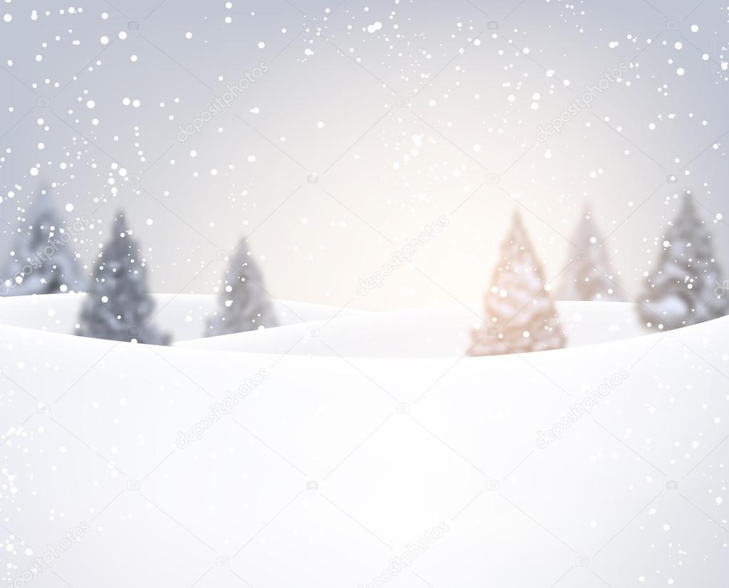 Winter fir-trees and snow