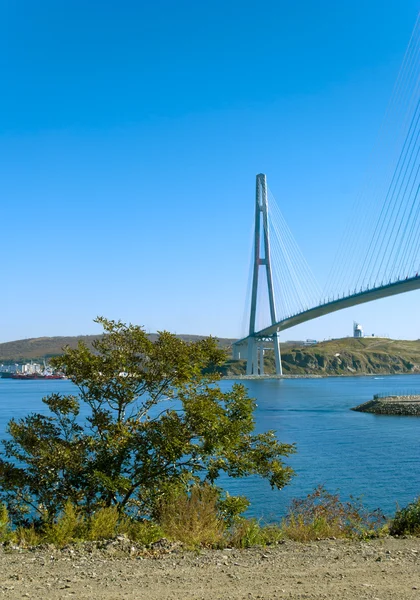Vladivostok, Rusya Federasyonu ve Doğu Bosphorus Boğazı üzerinde köprü