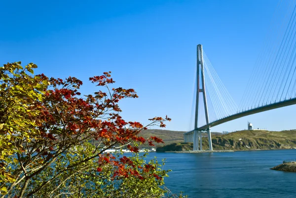 Brücke über den östlichen Bosporus, Wladiwostok, Russland — Stockfoto