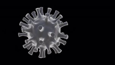 Şeffaf arkaplan üzerinde Coronavirus covid 19 konsept için dönen bir virüsün 3 boyutlu canlandırması.