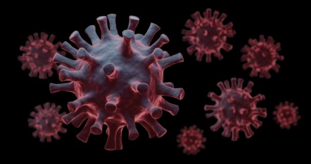 Renderizado Virus Para Coronavirus Covid Conceptos Sobre Fondo Negro — Vídeo de stock
