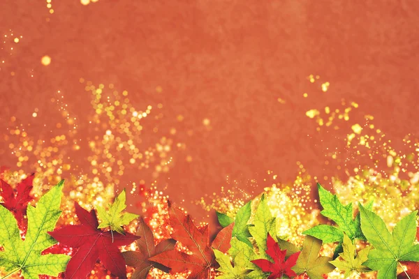 Nice autumn leaf texture background — Stock Photo, Image