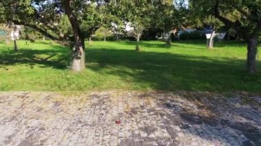 Elma ağacının önüne İHA 'nın inişi