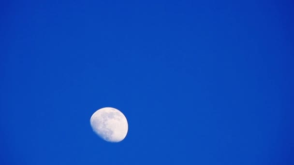 Місяць Ясним Небом — стокове відео