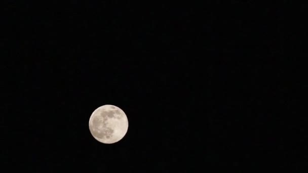 Księżyc Czystym Niebem — Wideo stockowe
