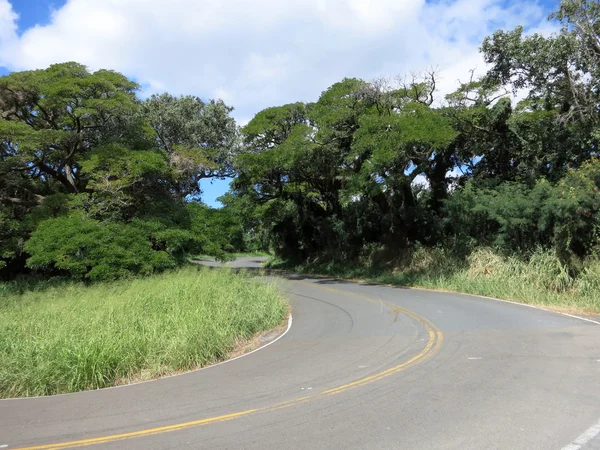 Road Curves up Tantalus Mountain — Stock Photo, Image