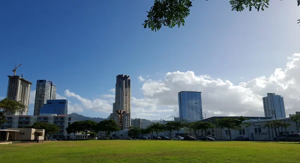 Zabytkowy Park matka Waldron okolicy plac zabaw w Kakaako — Zdjęcie stockowe