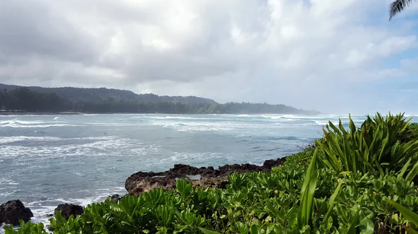 Wellen brechen, als sie mit Korallenfelsen und Bäumen auf das Ufer zurollen — Stockfoto