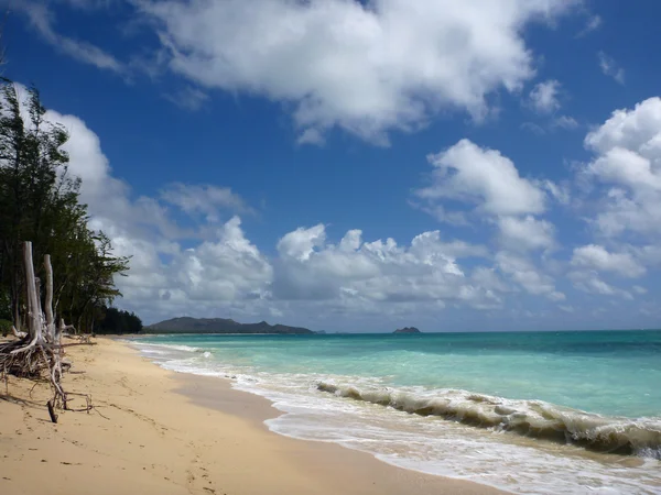 Regazo de olas en la playa de Waimanalo — Foto de Stock