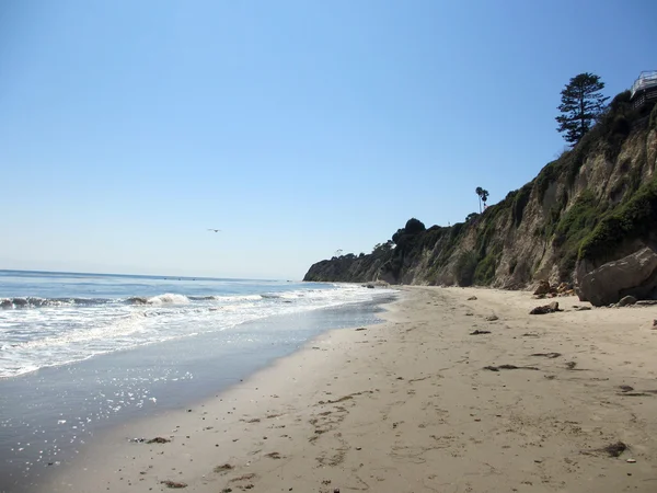 Хвилі на колінах на пляжі поруч з високою скелею з деревами — стокове фото