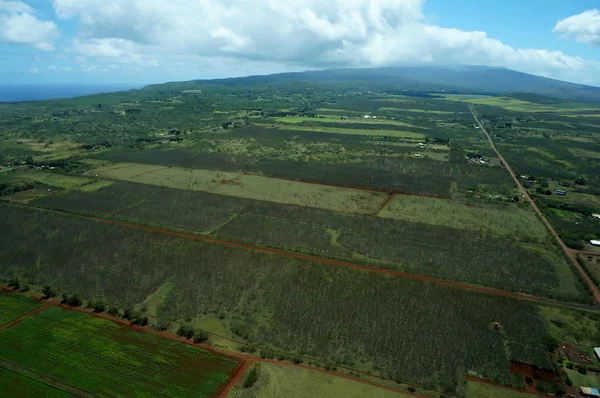 Aerial of Farm fields of different stages of age running to the — Stock Photo, Image