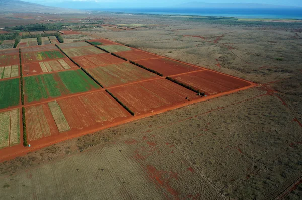 Luchtfoto van boerderij velden van verschillende stadia van de leeftijd waarop wordt uitgevoerd naar de — Stockfoto