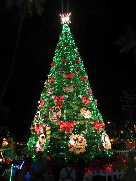 Light up at night 50-foot Norfolk pine Christmas Tree in front o