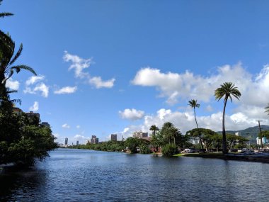Ala Wai Kanalı 'nın suları Oahu, Hawaii' de Waikiki 'de ağaçlarla kaplı..