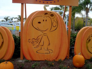 Santa Clara - 23 Ekim 2010 Büyük Amerika Parkı 'ndaki Charlie Brown Peanuts Pumpkin' in Snoopy 'si. 