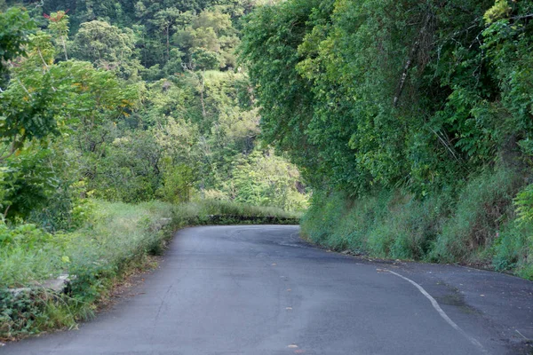 Piękny Widok Drogę Hana Zbliża Się Zakrętu Wyspy Maui Hawaje — Zdjęcie stockowe