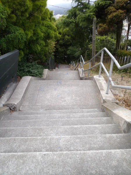 Concrete Staircase Leading Downwards Trees San Francisco — Stock Photo, Image