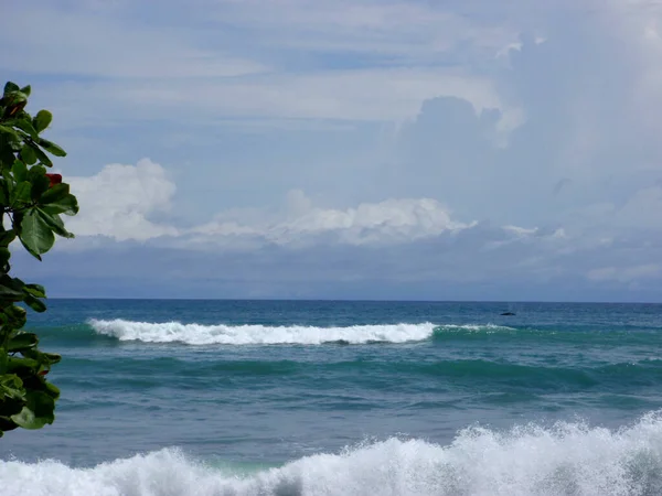 Baleia Jubarte Desaparece Com Ondas Rolando Largo Costa Punta Banco — Fotografia de Stock