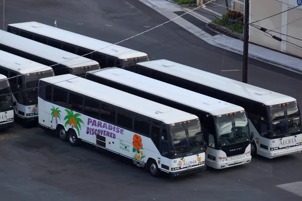 Honolulu August 2014 Overhead View Row Parked Paradise Discovered Buses — Stock Photo, Image