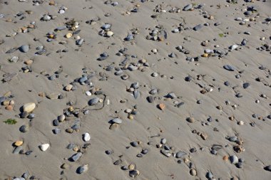 Kum çakıl taşları