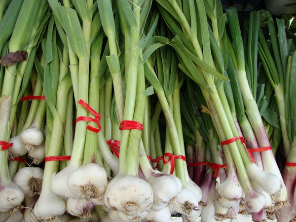 Close-up of Green onion — Stock Photo, Image