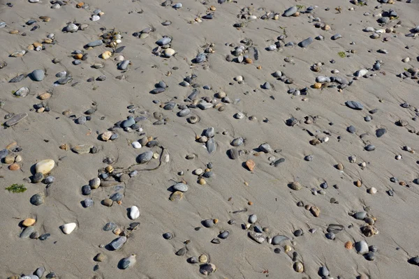 Rocas de guijarros en la arena — Foto de Stock