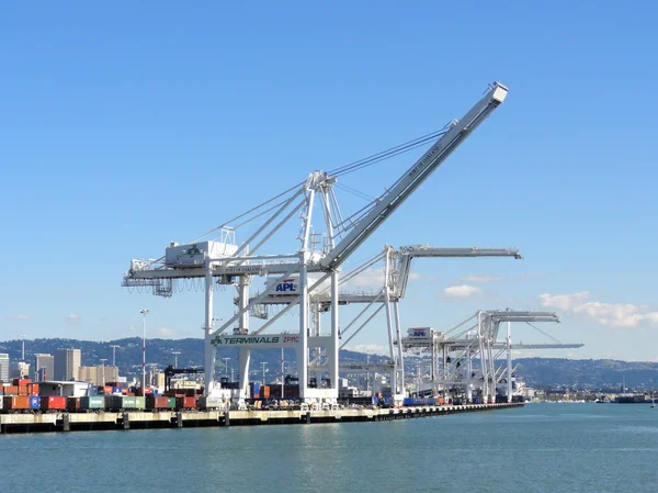 Row of Cargo Cranes tower over shoreline in Oakland Harbor on a — Stock Photo, Image