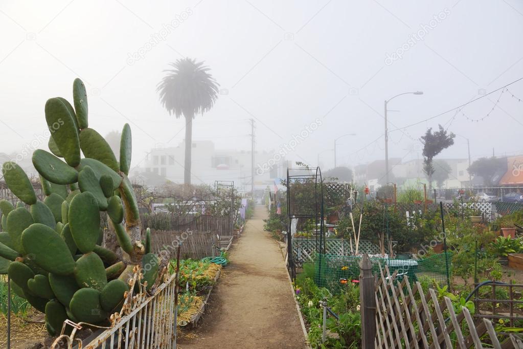 Path in Community Garden in Santa Monica, California