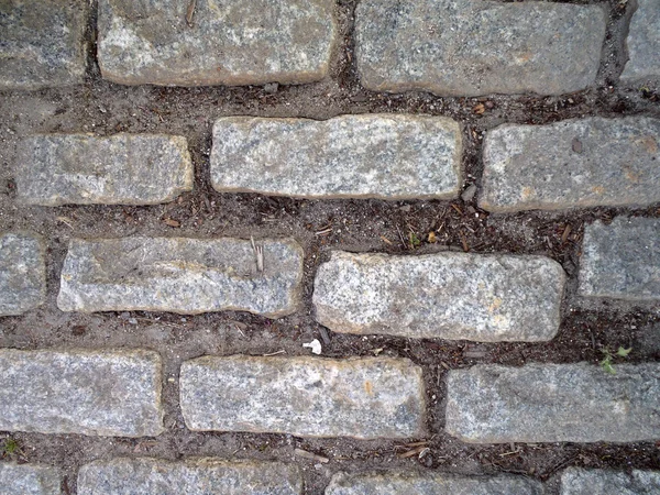 Cobble stone path — Stock Photo, Image