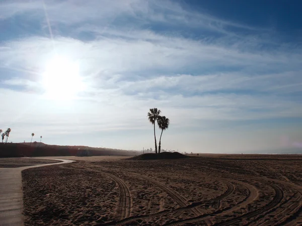 Traces de pneus, sentier et palmiers sur Dockweiler Beach State Park — Photo