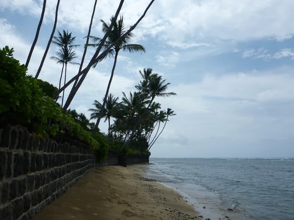 Sand Beach with Lava Rock Wall and Coconut tree overhead — Stock Photo, Image