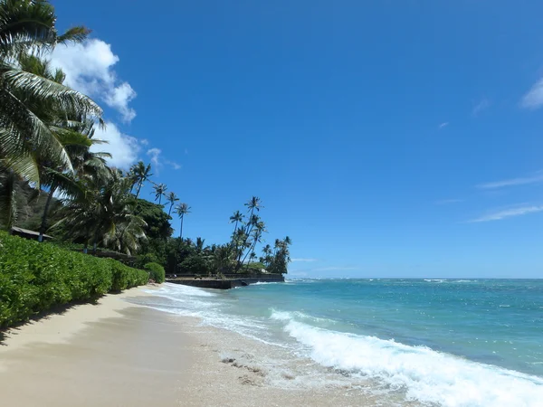 Makalei Beach with waves lapping, napakaa, and coconut trees alo — Stock Photo, Image