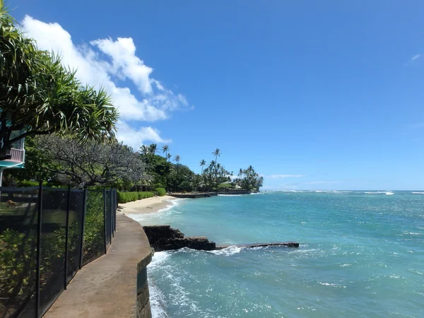 Makalei beach park s seawall, kokosové stromy, domy — Stock fotografie