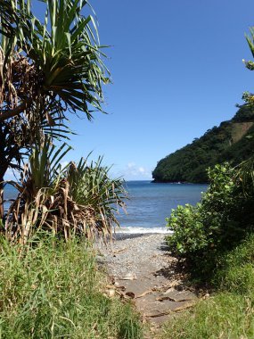 Honomanu Park, siyah kum Plajı'na yol açar