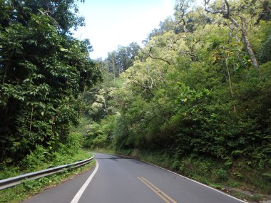 Hana yol Maui adasında dan güzel bir görünümü