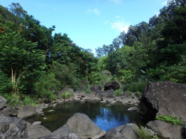tropikal gölet ağaçlarıyla çevrili taştan yapılmış