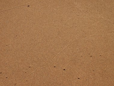 Maui Beach kum taneleri