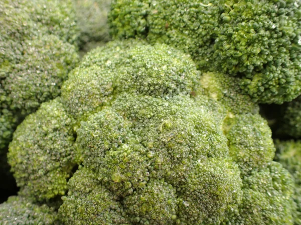 Gruppe frischer nasser Brokkoli — Stockfoto