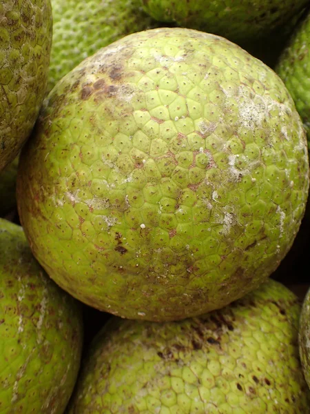 Hromadu Breadfruits — Stock fotografie